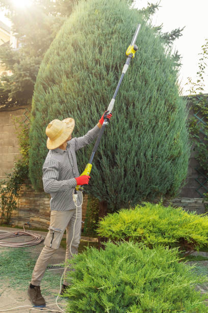 Best Artificial Turf Installation  in Auburn Lake Trails, CA